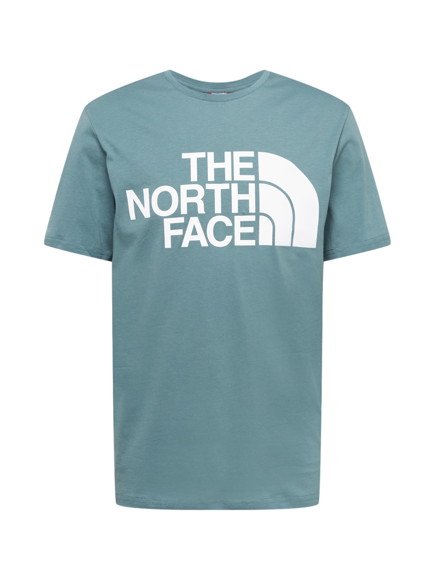 THE NORTH FACE Tričko 'STANDARD' bílá / mátová